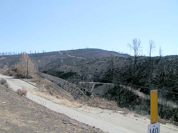 Burned area along Morgan Valley road from the Rocky fir