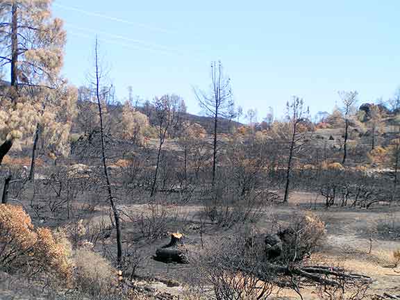 Charred landscape from the Rocky Fire